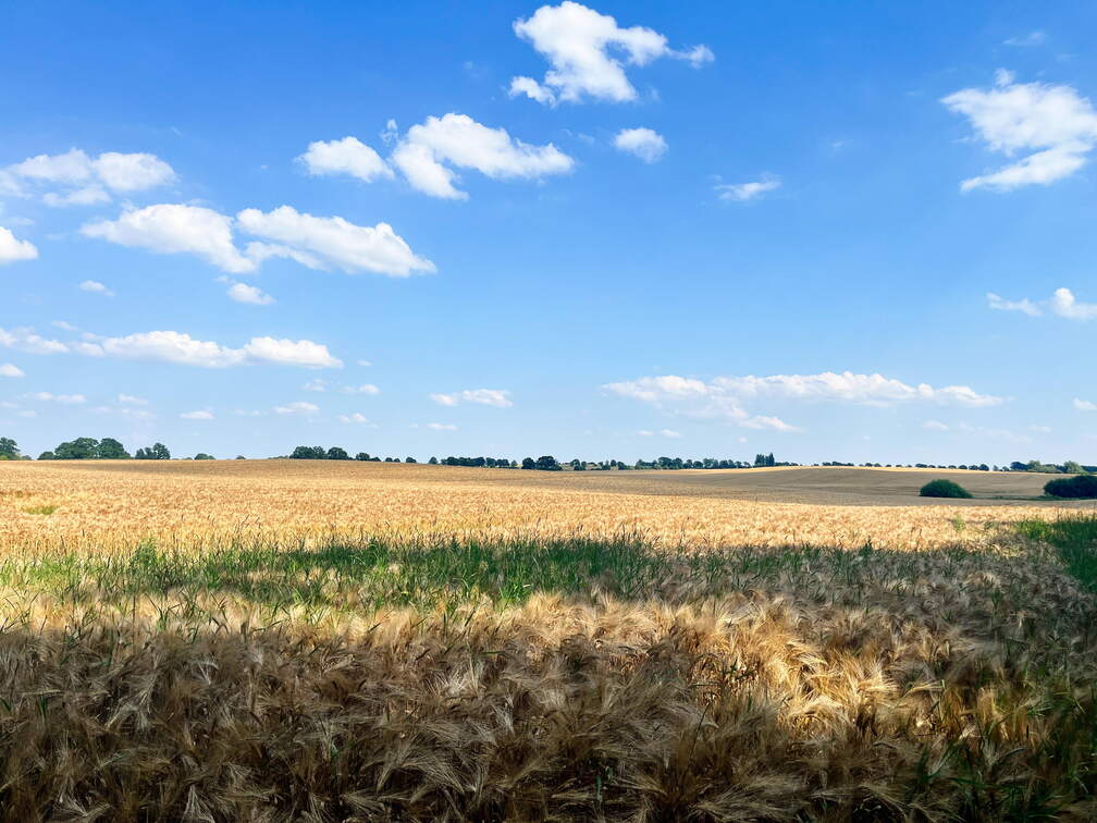 24-06-26 16-35-38 9941